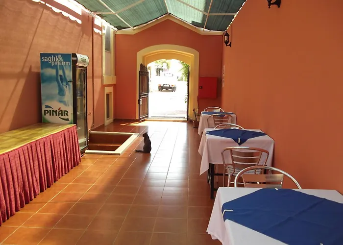 Guest house Antik Ridvan 4*