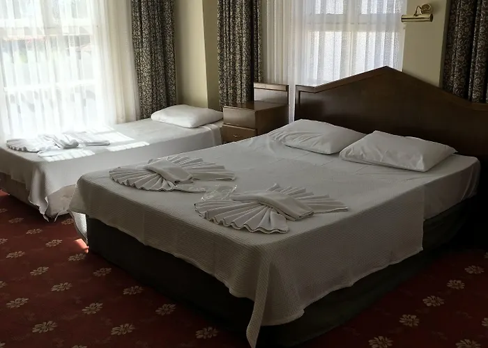 Vendégház Antik Ridvan