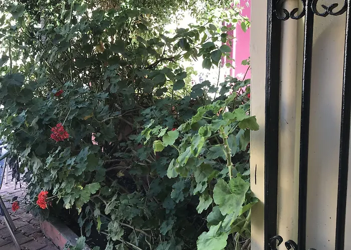 Vendégház Antik Ridvan 3*