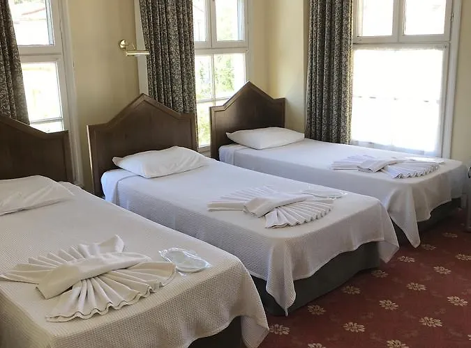 Guest house Antik Ridvan 4*